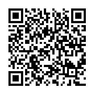 一个二十公分长的圆管里面要加入数十万个小机关二维码生成