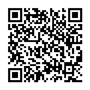 一个人类是无法从真正意义上来控制住龙的力量的二维码生成