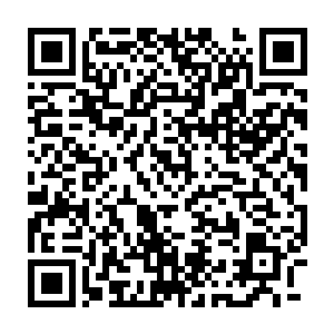一个人面无表情停留在山腰处的其中一棵大树后面远远看着这一幕二维码生成
