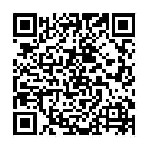 一个人高马大的男生像一尊铁塔似的伫立在唐铮面前二维码生成