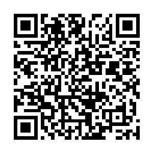 一个仙帝后期的老者见到悬浮在上空的六件中品神器之后二维码生成