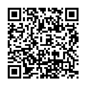 一个仙帝高手的怒火可不是他们能够承受的起的二维码生成