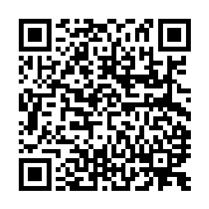 一个优秀的机甲师就是可以将这些动作完美组合在一起的人二维码生成