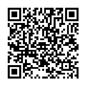 一个修士的界是一个修士用自己的一切修炼出来的二维码生成