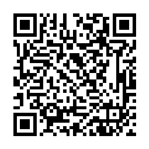 一个元尊初期修士在她这个神尊后期修士面前谈交易二维码生成