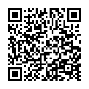 一个先天武者的收藏对他来说的确是一笔不小的财富二维码生成