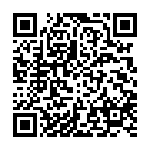 一个全身被黑色紧身衣包裹的瘦小男子就跪伏在赵虎三米外二维码生成