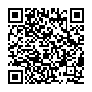 一个六岁的小女娃竟然能躲过五六个粗壮丫鬟婆子的刻意陷害二维码生成