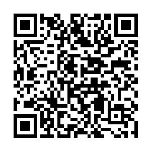 一个冲刺过去一记勾拳就打在那夏语嫣对象的脸蛋上二维码生成