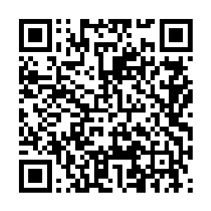 一个则是天火塔将不朽天罗果给炼化成了不朽原液二维码生成