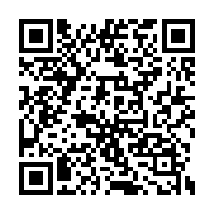 一个区区八转大帝竟然敢跟至尊境界的高手抗衡二维码生成