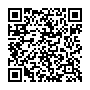 一个半大不小的孩子瞪着后面唇红齿白的小男孩二维码生成