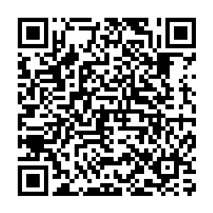 一个占地一亩的普通别墅庭院加起来的价格也就1000多金币就能买到二维码生成