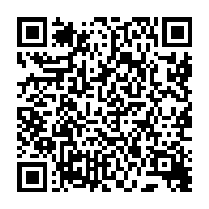 一个口齿伶俐的女记者将烧火棍一样的话筒对准自己啪啦啪啦一阵又指向梓箐二维码生成