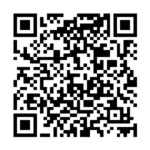 一个后起之秀能将两位宿老级别的强者压制的狼狈逃窜二维码生成