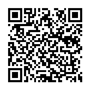 一个唐雅岚领悟大道之音八星已经很打击他们了二维码生成