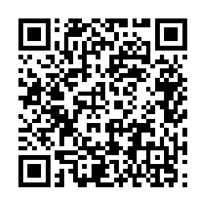 一个在半步神通境就拥有大战神人初期战力的强者二维码生成