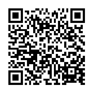 一个堂堂的第一家族的三祖竟然用尽心机跑到这百断之地二维码生成