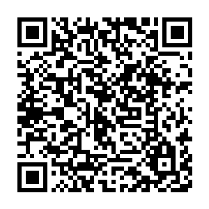 一个外来者要想站稳脚跟得到所有国民的认可是需要一些特殊手段的二维码生成