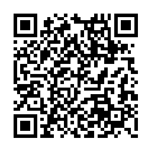 一个大地骑士想要收拾几个九级十级的魔族战士二维码生成