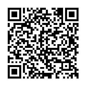 一个天真的领袖带领愚昧的民众走上光明的道路二维码生成