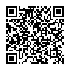 一个头戴礼帽的黑衣大汉看着杜平武校前面一阵忙碌的警察二维码生成
