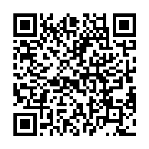 一个姐姐……我的哥哥姐姐很厉害……所以我小的时候二维码生成