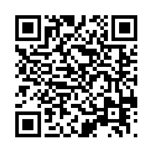 一个娇小的影子正站在一座山岗上远眺二维码生成