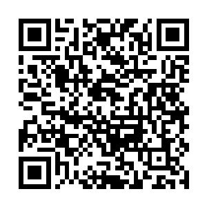 一个实力堪比心魔修者的大树精连抵抗的机会都没有二维码生成
