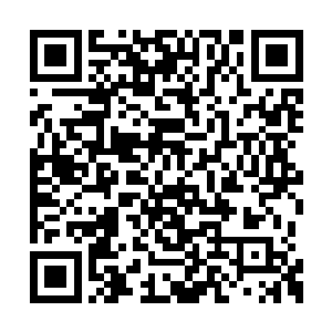 一个寒冰侍卫首先丢掉了手里的寒冰长矛和盾牌二维码生成