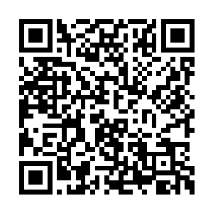 一个将要做父亲的男子急得都要跳水游着回家了二维码生成