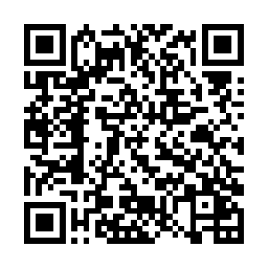 一个小小元婴期修士竟然妄想挑战化神期修士的权威二维码生成