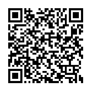 一个小小的地级市组织部长就把你们都引出来了二维码生成
