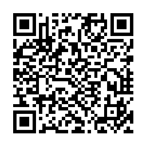 一个小小的红河就把你们这些商业精英难成这个样子了二维码生成