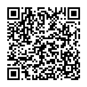 一个巴掌大小半月形的血色的妖异的玉阙出现在了众人的视线之中二维码生成