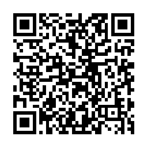 一个强势的官员想要捏死一个富豪和捏死一只蚂蚁没什么两样二维码生成