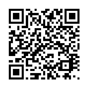 一个成满虾皮虾头的盘子夹杂着菜汁二维码生成