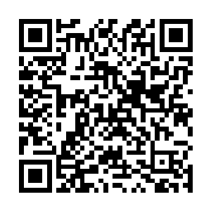 一个战力和巨大水蛭相差不大的强者遇到这群小型水蛭二维码生成