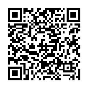 一个手拎着个一头是拳头衔接着个一尺长短棒似的玩意二维码生成
