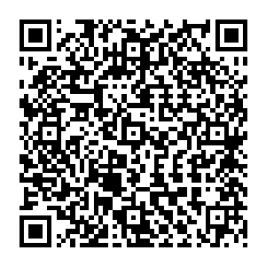 一个抱着大箱子穿着卡通衣戴着兔耳朵的女孩儿站到了我们身前看着我跟小妮一脸甜笑的张口二维码生成