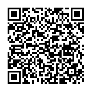 一个挥袖将天地之间隔绝了一道巨大的冰屏阻绝龙傲天对自己的追赶二维码生成