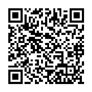 一个摆摊的人和一个大乘境的强者两人争锋相对二维码生成