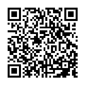 一个散发着五彩光芒的球状体也从炼丹炉中缓慢的飞了出来二维码生成