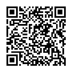 一个散发着淡淡的神圣光辉的卷轴从他的袖子里掉了出来二维码生成