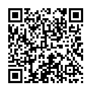 一个时辰后我们便能赶到当初我等那支船队靠岸的港口二维码生成