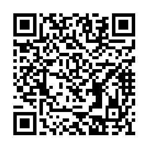 一个昙花一现的创意可没有支撑一个完整的品牌二维码生成