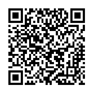 一个普通的三鼎高手居然靠着一件宝物就战胜慕容白二维码生成