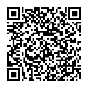 一个普通的大地骑士要吸收完这块水元水晶无论如何估计也需要一天以上的时间二维码生成