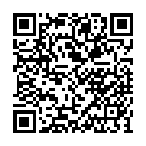 一个普通血族战士的吸血獠牙可以兑换一个金币二维码生成
