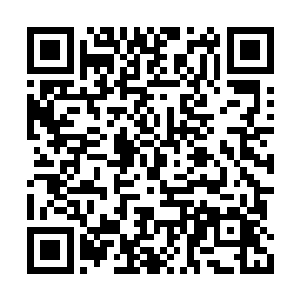 一个月两万块就雇了一个绝世高手保护这个公司二维码生成